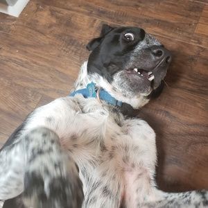 Meet your Posher, Logan